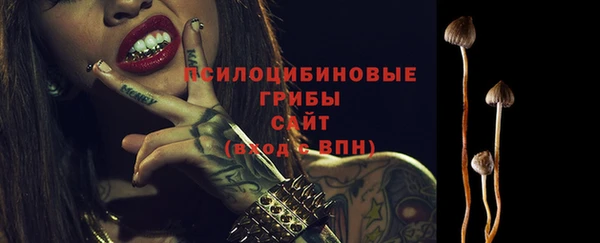 крисы Дмитровск