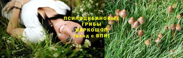 крисы Дмитровск