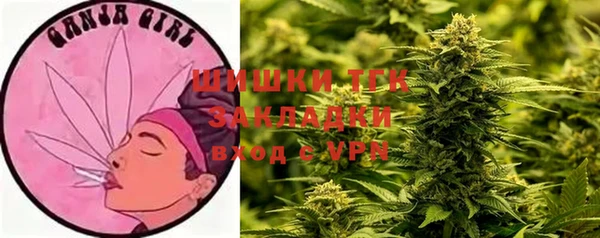 крисы Дмитровск