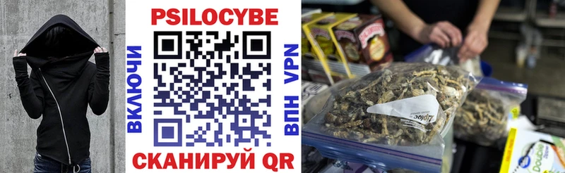 Купить где Малая Вишера Галлюциногенные грибы прущие грибы