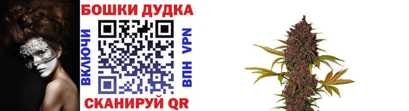 Купить закладки  Малая Вишера  Шишки марихуана план 